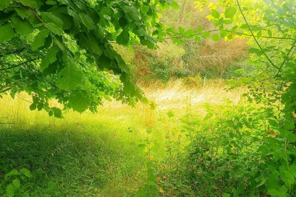 Vente Maison 4 pièces 84 m2 à Roquefort