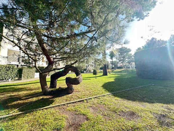 Appartement  2 pièce(s) 31 m2  200 M Plage