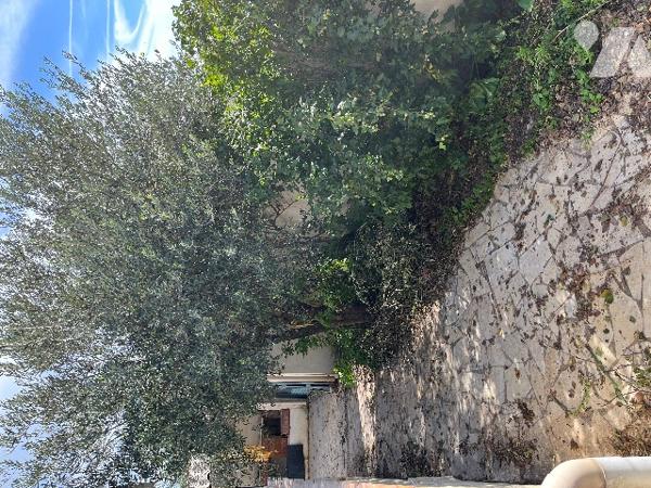 Tarascon maison de 84 m² sur un terrain clos et arboré de 357 m².