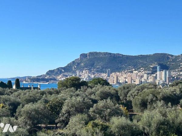 ROQUEBRUNE-CAP-MARTIN - PLATEAU DU CAP
