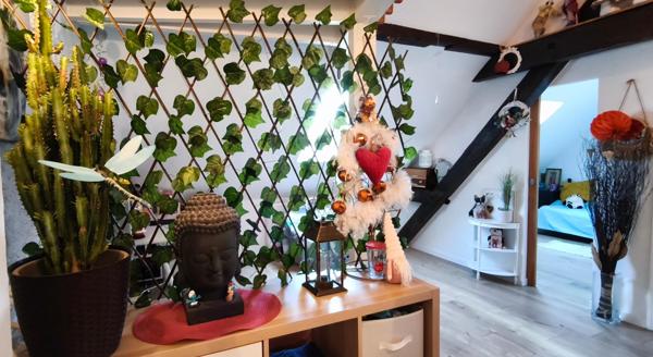 Jolie maison avec son jardin à Huttenheim