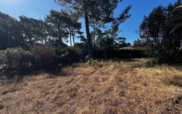 Terrain à vendre