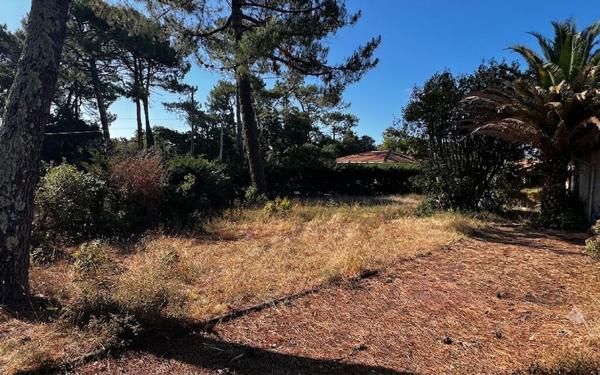 Terrain à vendre