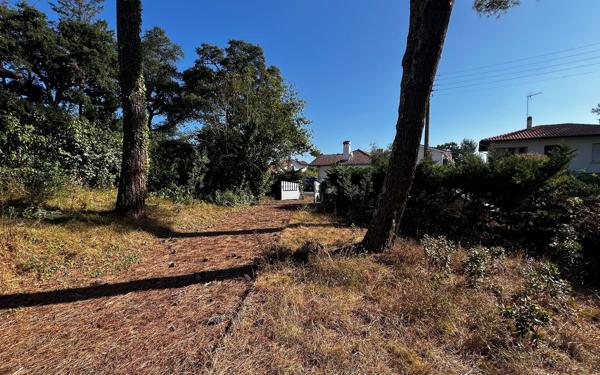 Terrain à vendre