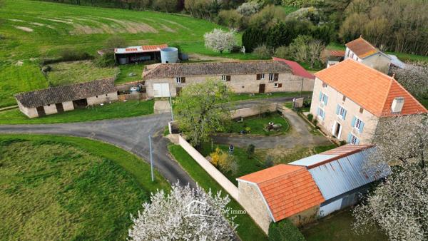 Propriété - 7 chambres - Dépendances Valence-en-poitou (86700)