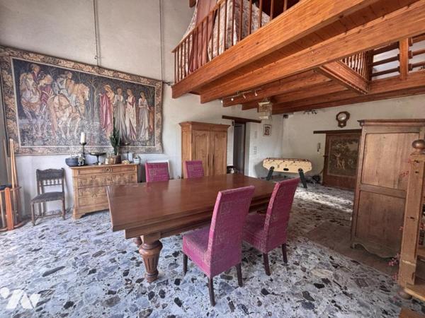 LOIRE AUTHION (49250), SAINT MATHURIN SUR LOIRE maison ancienne avec piscine d'environ 264 m² hab