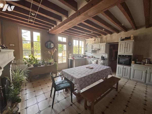 LOIRE AUTHION (49250), SAINT MATHURIN SUR LOIRE maison ancienne avec piscine d'environ 264 m² hab