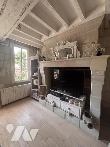 LOIRE AUTHION (49250), SAINT MATHURIN SUR LOIRE maison ancienne avec piscine d'environ 264 m² hab