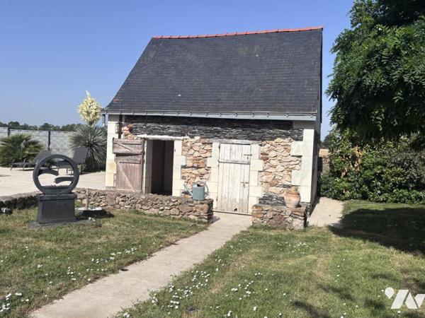 LOIRE AUTHION (49250), SAINT MATHURIN SUR LOIRE maison ancienne avec piscine d'environ 264 m² hab