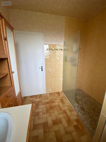 Maison à vendre à Villedieu-sur-Indre dans l'Indre (36320), ref : 1051991