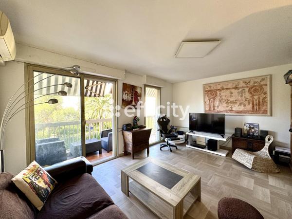 Appartement 2 pièces - 55 m² Exclusivité efficity