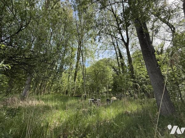 Parcelle boisée avec étang 