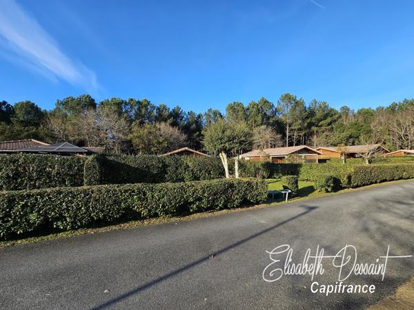 Chalet 4 pièces avec véranda, jardin sans vis-à-vis et piscine