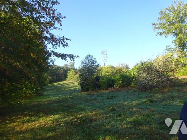 PRAIRIE A VENDRE A CETON