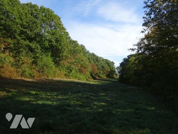 PRAIRIE A VENDRE A CETON