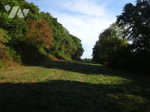 PRAIRIE A VENDRE A CETON