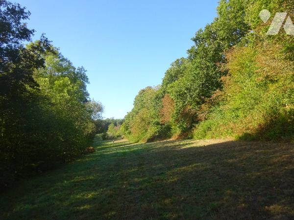 PRAIRIE A VENDRE A CETON
