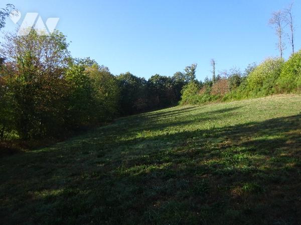 PRAIRIE A VENDRE A CETON