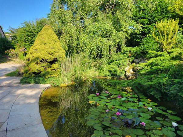 A QUELQUES MINUTES D'EPERNAY ET DE PIERRY - PAVILLON HAUT DE GAMME sur  1.882 m² avec TERRASSE, BASSIN, CHALET, PARKING INTERIEUR et GARAGE
