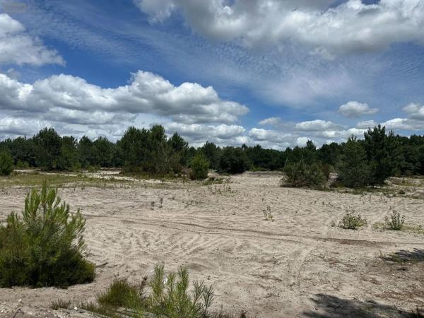 Achat - Terrain à bâtir Mios 33380 70557 m 2