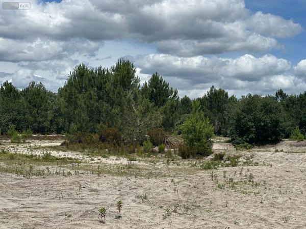 Achat - Terrain à bâtir Mios 33380 70557 m 2