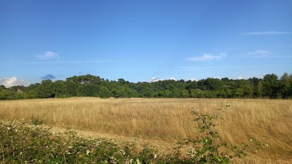 Terrain de 1375 m² dans un village proche de Montpon Ménestérol.