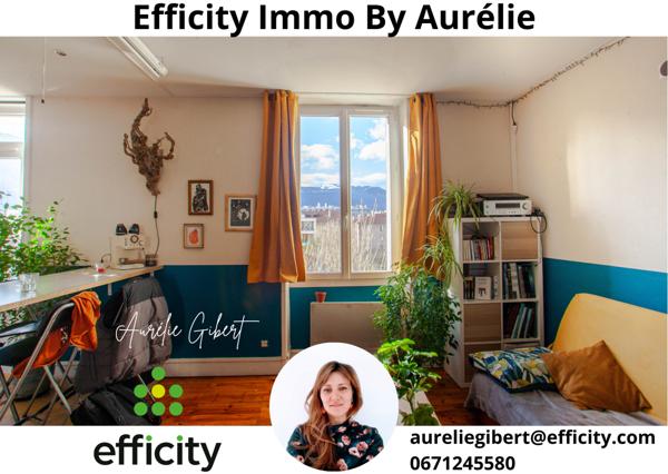 Appartement 2 pièces - 52 m² Exclusivité efficity