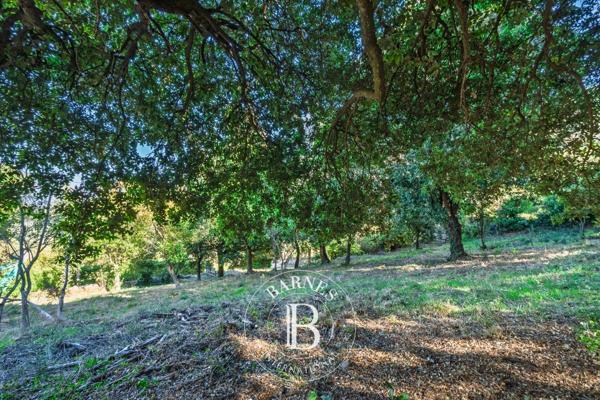 Occhiatana, Terrain constructible  1 252 m² à vendre