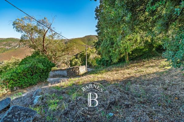 Occhiatana, Terrain constructible  1 252 m² à vendre