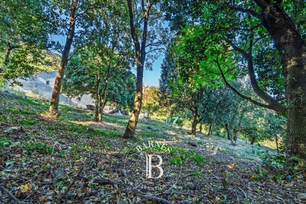 Occhiatana, Terrain constructible  1 252 m² à vendre