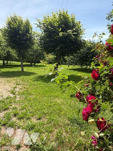 A VENDRE proche le centre bourg de SAINT MARTIN VALMEROUX (Cantal), une maison habitable de sui...