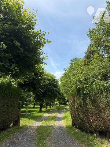 A VENDRE proche le centre bourg de SAINT MARTIN VALMEROUX (Cantal), une maison habitable de sui...