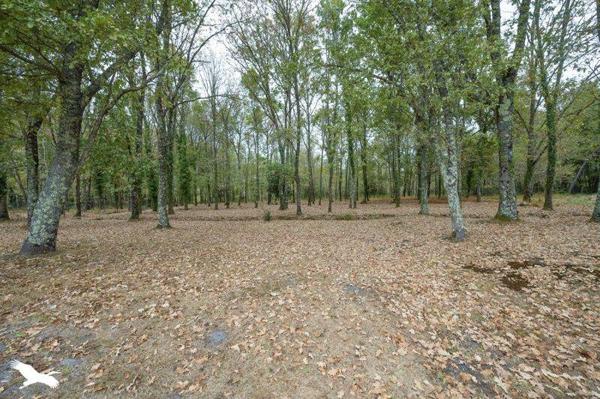 Maison à vendre |  Salles |  4 pièces | 107 m²