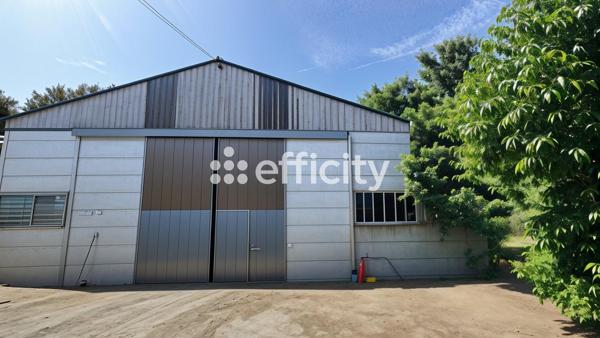 Immeuble
         1 pièce
        - 288 m² Exclusivité 207 000 € *