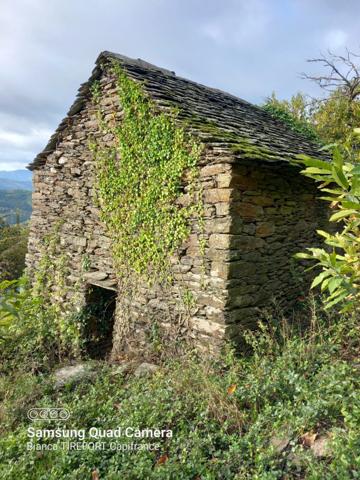 Terrain à vendre avec ruine  SAINT ETIENNE VALLEE FRANCAISE (48)