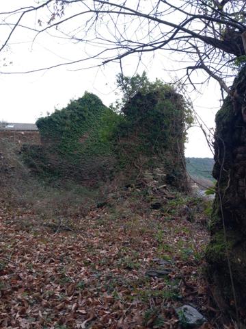 Terrain à vendre avec ruine  SAINT ETIENNE VALLEE FRANCAISE (48)