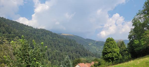 Mittlach (68380) Chalet au calme offrant une vue magnifique sur les sommets