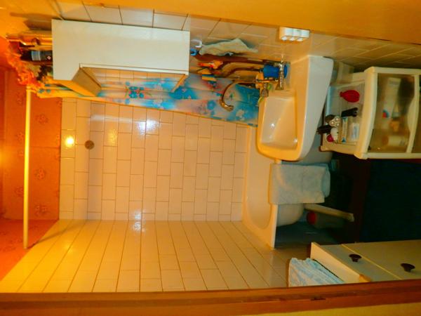 MAISON LIBRES 3 PIECES A RENOVER AVEC DEPENDANCES ET JARDIN  Bordes (36100)