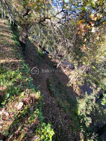 À Salernes, au cœur de l'arrière-pays varois, entre les Gorges du Verdon et la Côte d'Azur, découvrez ce superbe terrain de 6 447 m² offrant un cadre de vie exceptionnel, au calme, baigné de soleil et bénéficiant d'une vue panoramique imprenable sur les collines environnantes ainsi que sur le magnifique village perché de Tourtour.

Ce bien rare dispose d'un permis de construire déjà accordé pour la réalisation d'une villa d'environ 130 m² comprenant une vaste pièce de vie ouverte sur l'extérieur, trois chambres, une suite parentale, une terrasse couverte, une piscine avec pool-house ainsi qu'un garage et ses annexes.
Le projet reste entièrement personnalisable selon vos envies, avec une possibilité d'extension jusqu'à 40 % et une hauteur de construction autorisée de 7 mètres, offrant de nombreuses perspectives d'aménagement.

Le terrain est composé d'une partie en restanques permettant la création de l'accès et d'une belle zone plane idéale pour l'implantation de la future habitation et de ses espaces extérieurs.

Viabilités et prestations : 
• Tout-à-l'égout présent sur le terrain 
• Réseaux d'eau, d'électricité et de télécommunications en limite de propriété
• Travaux de terrassement et création d'accès à prévoir

Cet emplacement privilégié séduira les amoureux de nature, de tranquillité et d'authenticité. 
À seulement quelques minutes des commerces et commodités de Salernes, ce terrain constitue une opportunité unique pour concrétiser un projet de résidence principale, secondaire ou d'investissement dans un environnement particulièrement recherché.

Dossier complet et informations complémentaires sur demande. Visites possibles sur rendez-vous.