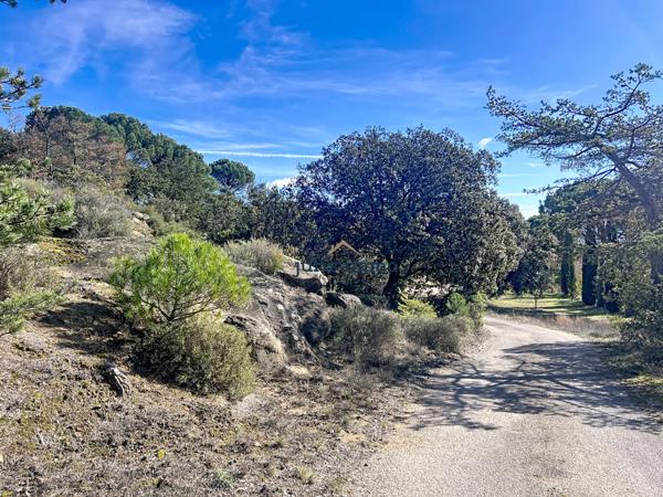 Vaison-la-Romaine (84110) AUX PORTES DE VAISON-LA-ROMAINE - PROPRIETE EN PIERRE SUR TERRAIN 8 500 m² AVEC PISCINE