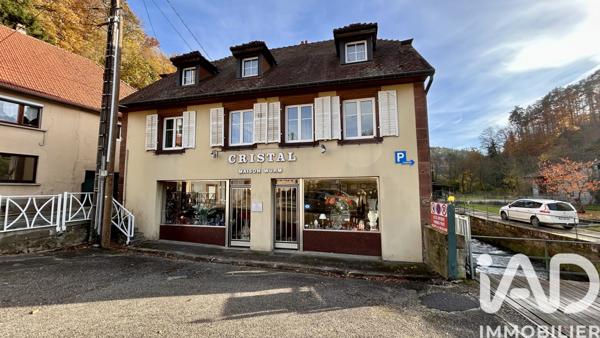 Immeuble à vendre 500 m² Lutzelbourg