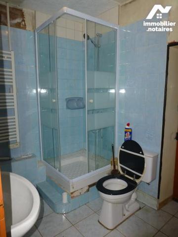 Maison avec jardin et garage