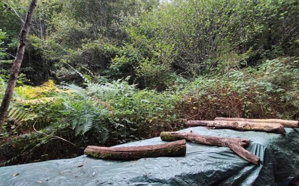 Terrain à vendre    Saint-Priest-Taurion