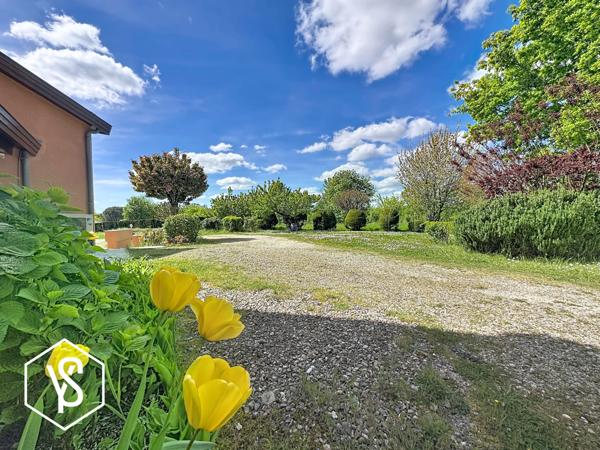 Quint-Fonsegrives (31130) "VILLA TULIP"