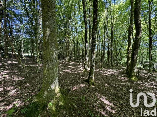 Terrain à vendre 4 355 m² La Petite-Raon