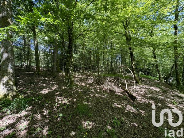 Terrain à vendre 4 355 m² La Petite-Raon