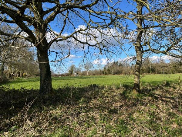 Corps de ferme en pierres à rénover entièrement sur 2,5 hectares