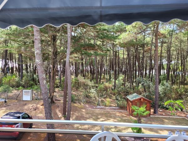 STUDIO avec Balcon Vue Mer et Pinède - LA PALMYRE