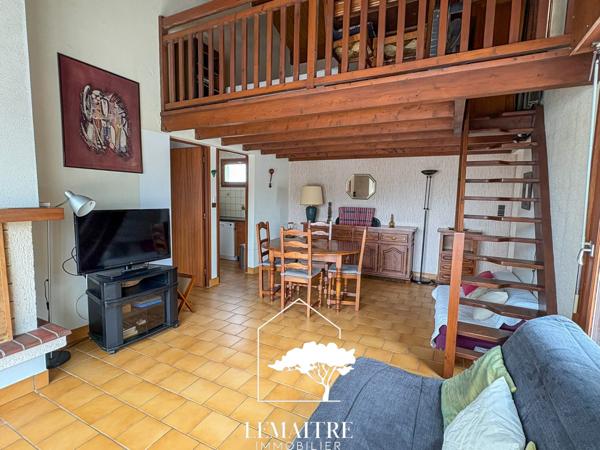 Appartement duplex avec terrasse exceptionnelle de 100m²