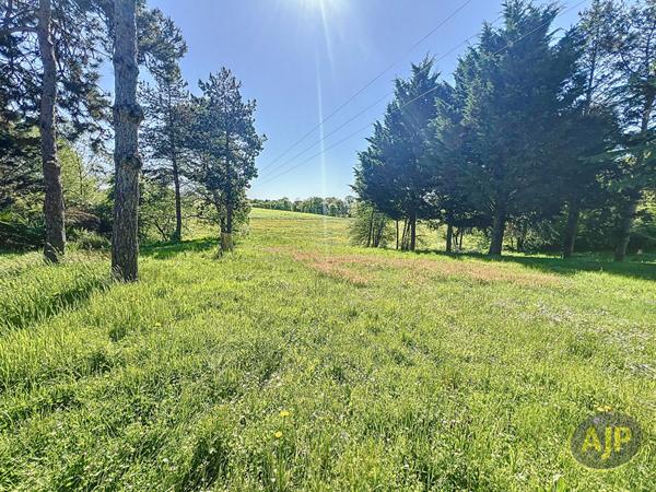 Vente maison Le May Sur Evre : 374 000 € - AJP Immobilier Saint-Macaire-en-Mauges